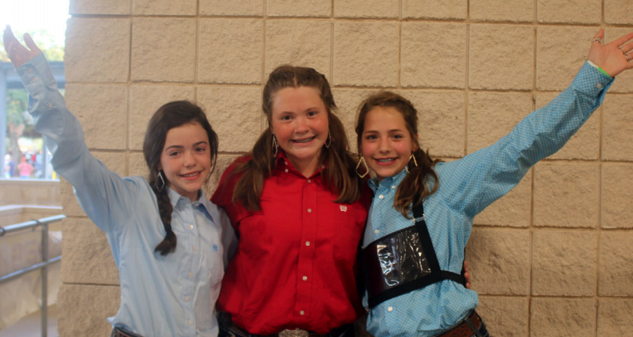 2019 Swine Show